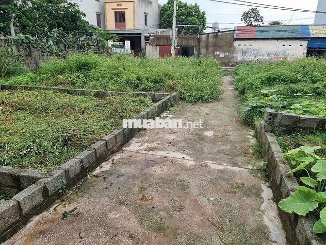 💥 SIÊU ĐẸP ĐẤT 👉 Đào Xá, Thắng Lợi, Thường Tín - HÀ NỘI 👉 Gần Quốc
