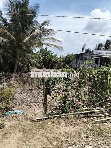 Đất cây lâu năm, thổ cư 100m, mặt tiền đan và sông