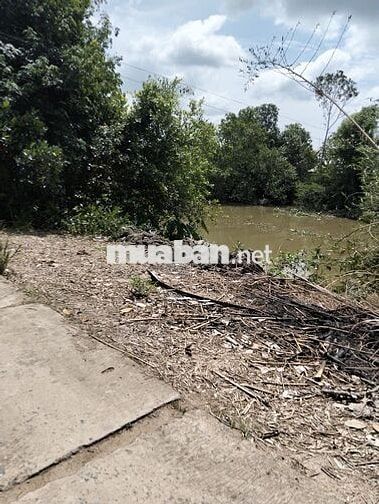 Đất cây lâu năm, thổ cư 100m, mặt tiền đan và sông