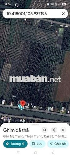 Đất cây lâu năm, thổ cư 100m, mặt tiền đan và sông