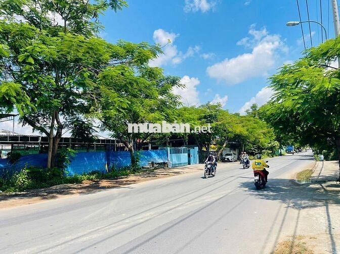 ĐẤT MẶT TIỀN KINH DOANH, LỘT KHE, 6M X 22M, GIÁ 315 TRIỆU, CÓ BỚT LỘC