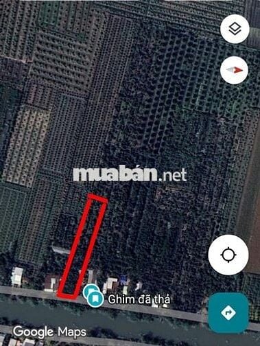 Đất cây lâu năm, thổ cư 100m, mặt tiền đan và sông