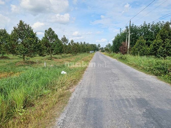 1,3 mẫu ngay khu đô thị, đường nhựa. KCN 3200ha. 9 tỷ