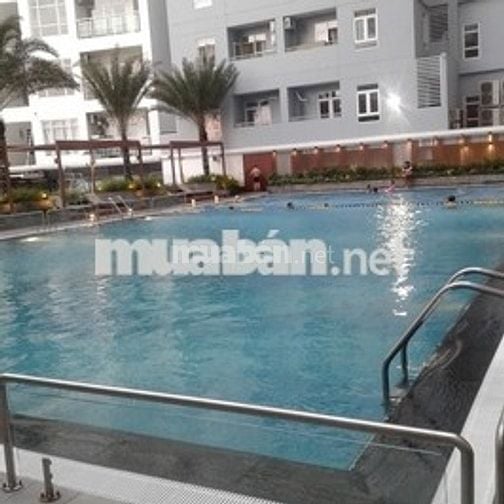 CẦN CHO THUÊ CĂN HỘ HOÀNG ANH GIA LAI
