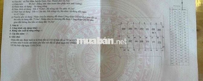 CC BÁN 85,1M PHÚ MÃN CHỦ LỖI DÒNG TIỀN CƠ HỘI HIẾM CÓ CHO KHÁCH MUA