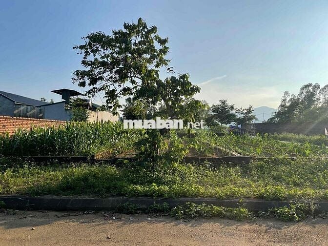 Bán 100m2 Tái Định Cư Vai Réo Rẻ Nhất Khu Vực