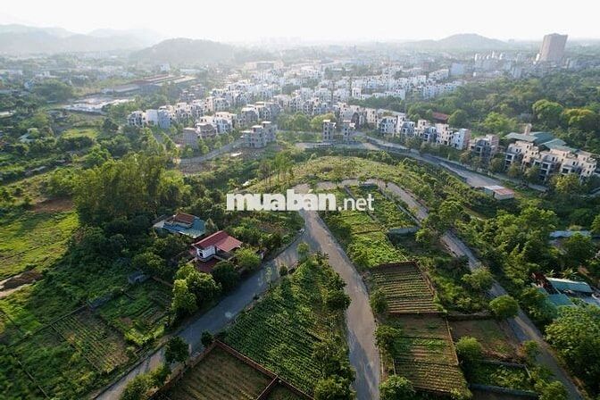 Bán 100m2 Tái Định Cư Vai Réo Rẻ Nhất Khu Vực