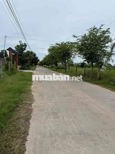 BÁN 3 LÔ ĐẤT MẶT TIỀN NGUYỄN THỊ BÀI XÃ LONG AN CŨ