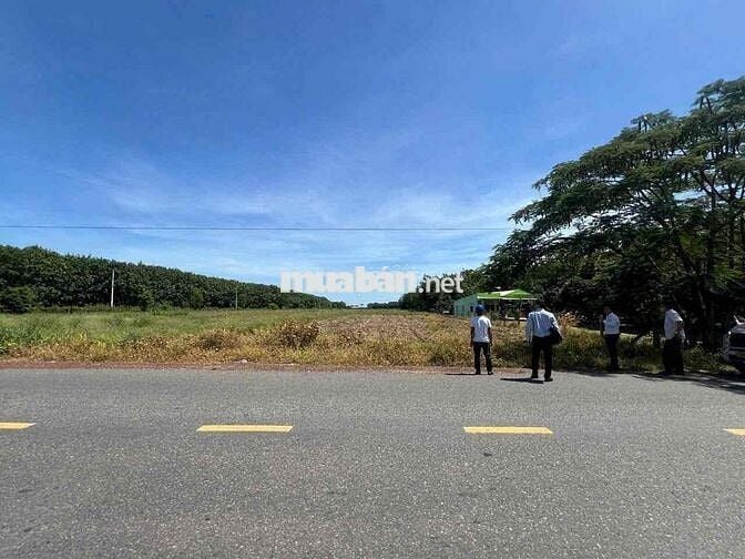 Cần bán lại 2 lô đất nền Dầu Tiếng giá đầu tư