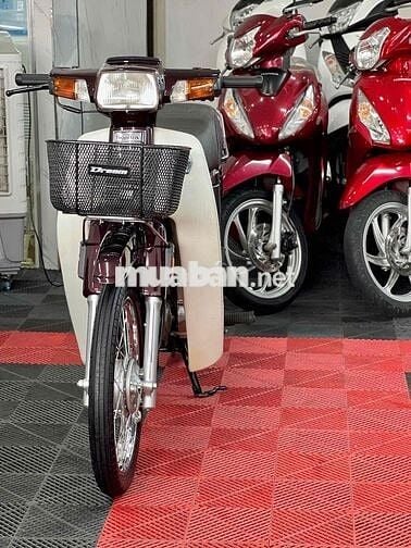 🥰 Dream Thái - BSTP - K9C - Ngoại Hình Dọn Đẹp