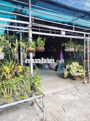 Đất mặt tiền Quốc lộ 91 phường Bình Đức, tỉnh An Giang