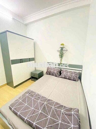 Cho thuê căn hộ 1PN cửa sổ Q1 gần cv Lê Văn Tám, Hồ Con Rùa, ĐH UEH