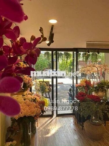 MBKD cho thuê  P.Bến Nghé . 3,3x12m đường Mạc Đĩnh Chi - Q1