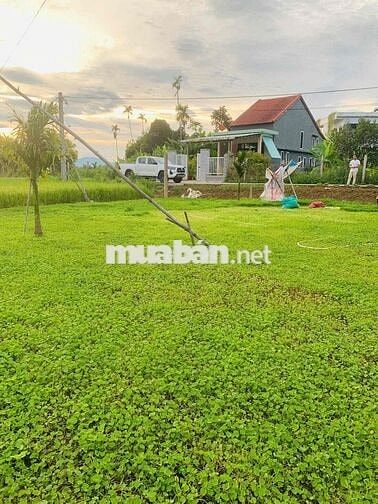 292m2 Đất NN tại xã ĐiệnMinh chỉ 270m đường ô tô cách Quốc lộ1A 2 phút