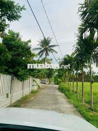 292m2 Đất NN tại xã ĐiệnMinh chỉ 270m đường ô tô cách Quốc lộ1A 2 phút