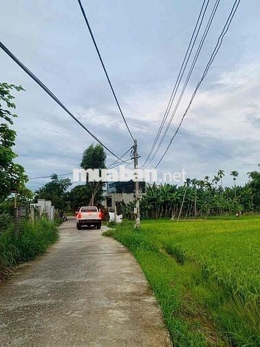 292m2 Đất NN tại xã ĐiệnMinh chỉ 270m đường ô tô cách Quốc lộ1A 2 phút