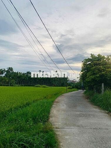 292m2 Đất NN tại xã ĐiệnMinh chỉ 270m đường ô tô cách Quốc lộ1A 2 phút