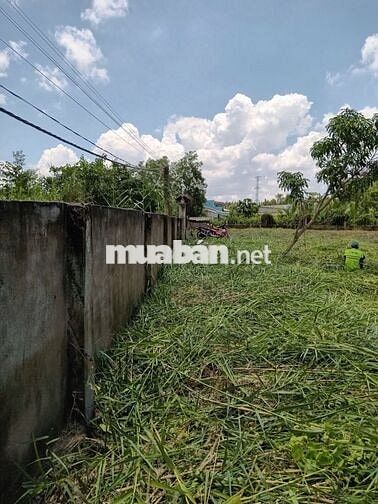 BÁN GẤP LÔ ĐẤT 1300M² – NGAY CẦU RẠCH TÔM - LÊ VĂN LƯƠNG, NHÀ BÈ