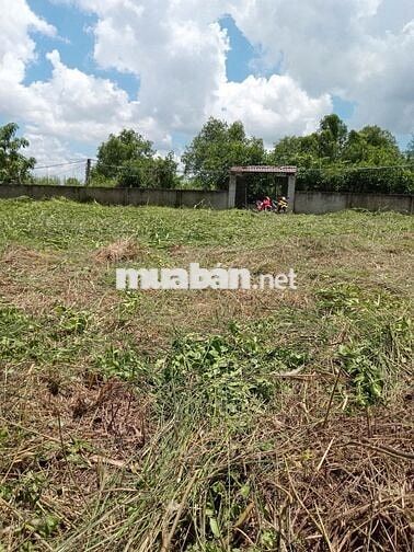 BÁN GẤP LÔ ĐẤT 1300M² – NGAY CẦU RẠCH TÔM - LÊ VĂN LƯƠNG, NHÀ BÈ