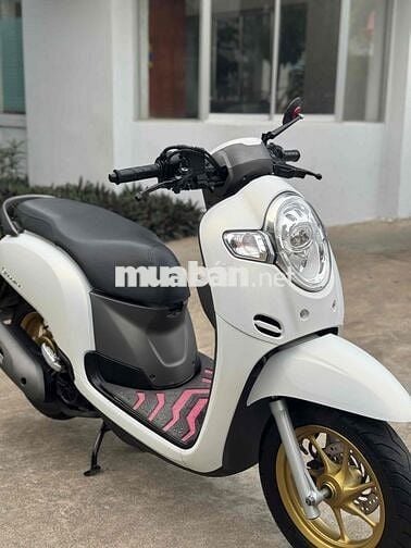 Scoopy nhập ido xe đẹp máy zin chất chính chủ Chay