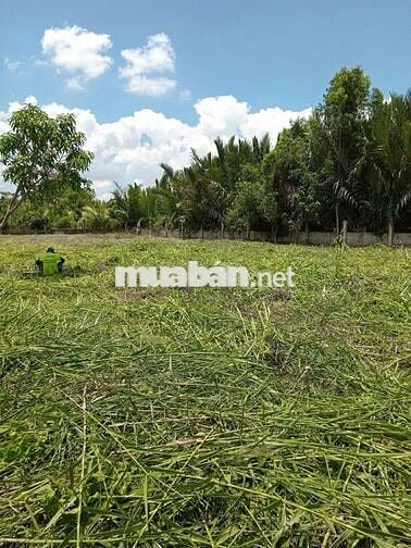 BÁN GẤP LÔ ĐẤT 1300M² – NGAY CẦU RẠCH TÔM - LÊ VĂN LƯƠNG, NHÀ BÈ