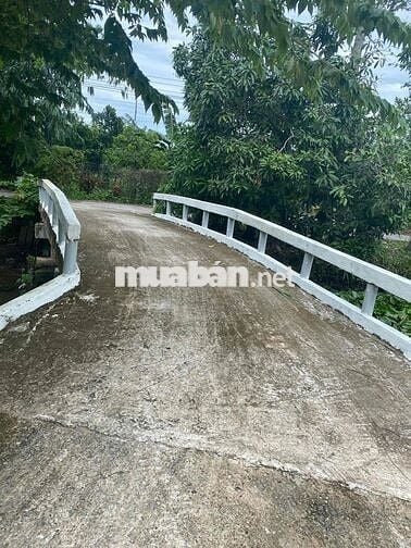 BÁN NHANH MẢNH VƯỜN XOÀI ĐANG CHO THUÊ