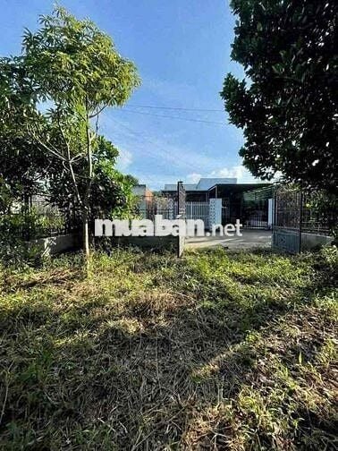 Cô Lan cần tiền bán lỗ lô đất vườn 1068m2 giá 280triệu