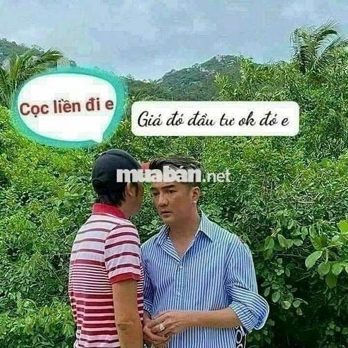 Chính chů bán nhà võ duy ninh bình thąnh