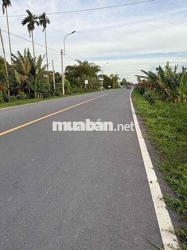 BÁN ĐẤT MẶT TIỀN ĐƯỜNG TỈNH LỘ 902 CHÁNH AN, MANG THÍT