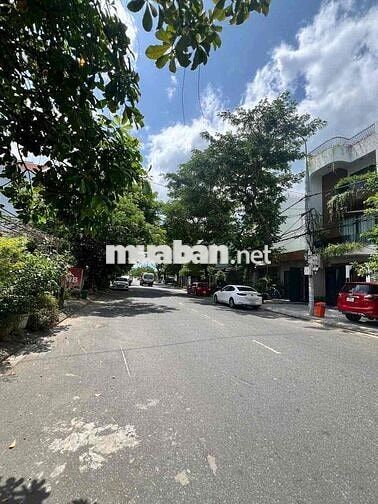 Mặt tiền đường 10m5 Trần Nguyên Đán giá đầu tư