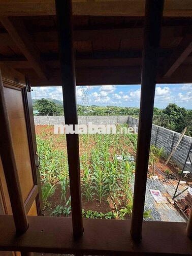 Cho thuê nhà vườn 1000m2 cách ngã 6 chỉ 5km