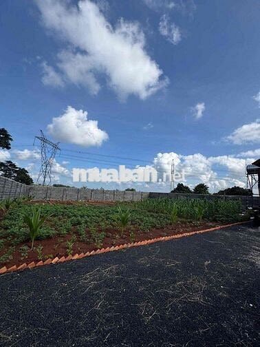 Cho thuê nhà vườn 1000m2 cách ngã 6 chỉ 5km
