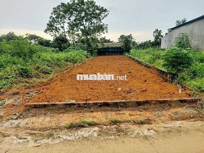 CC BÁN LÔ ĐẤT GẦN FUII THỔ GIÁ 2,75TỶ BẠCH THẠCH XÃ PHÚ CÁT HÀ NỘI