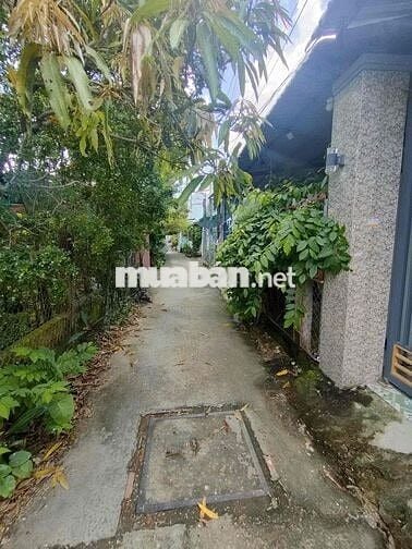 Cho thuê nhà nguyên căn 132m2 ở An Phú Tây, Cần Giuộc, Long An