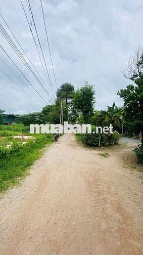 Đất gần ngã ba Cây Điệp phường Tân Đông Hiệp Tp Dĩ An