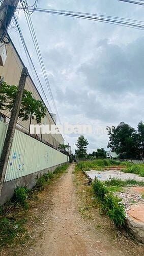 Đất gần ngã ba Cây Điệp phường Tân Đông Hiệp Tp Dĩ An