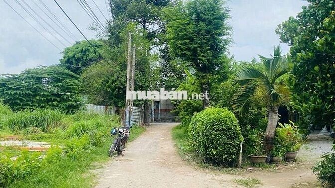 Đất gần ngã ba Cây Điệp phường Tân Đông Hiệp Tp Dĩ An