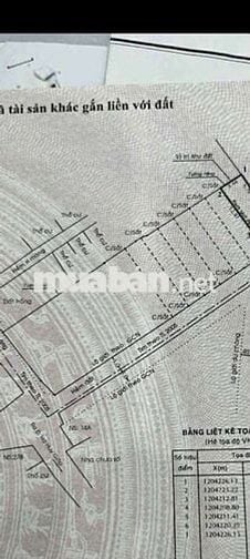 BÁN ĐẤT THẠNH XUÂN 40 ( TX40 ) Giá RẺ NHẤT QUẬN 12- 88,5m2 CHỈ #2ty8