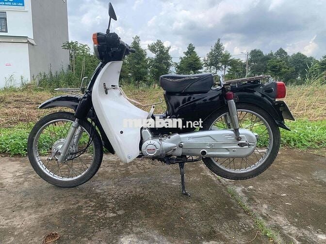 cub taya học sinh 50cc cà vẹt đủ giấy tay