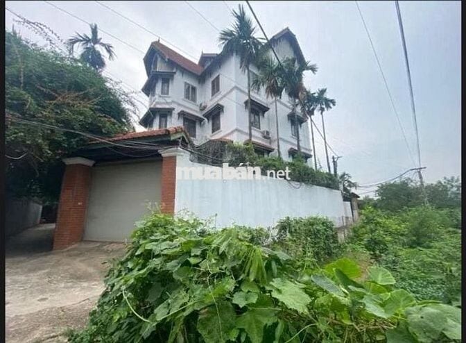 Bán BT view hồ Quảng Bá, Âu Cơ, Tây Hồ, 4 tầng, 275m2, 70 tỷ