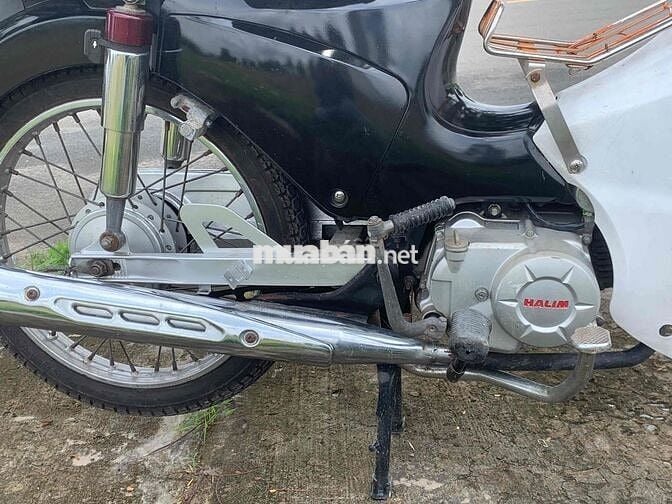 cub taya học sinh 50cc cà vẹt đủ giấy tay