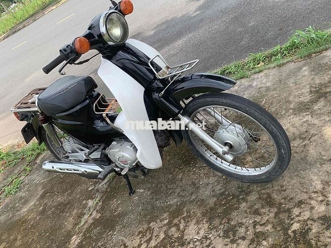 cub taya học sinh 50cc cà vẹt đủ giấy tay