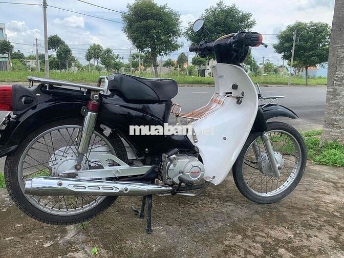 cub taya học sinh 50cc cà vẹt đủ giấy tay