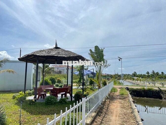 🌟 Cơ Hội Đầu Tư Vàng: Khu Đất Mặt Tiền ODA Hồ Tràm –