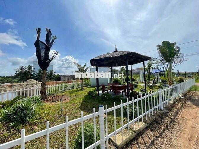 🌟 Cơ Hội Đầu Tư Vàng: Khu Đất Mặt Tiền ODA Hồ Tràm –