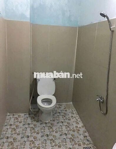 Cho thuê nhà MTKD Họ Lê Quận Tân Phú