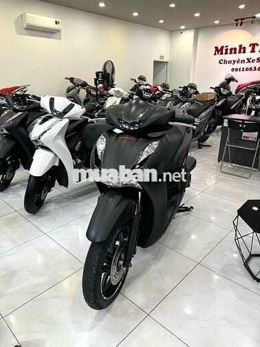 Sh350 2023 bs Tp full zin