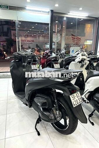 Sh350 2023 bs Tp full zin