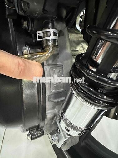 Sh350 2023 bs Tp full zin