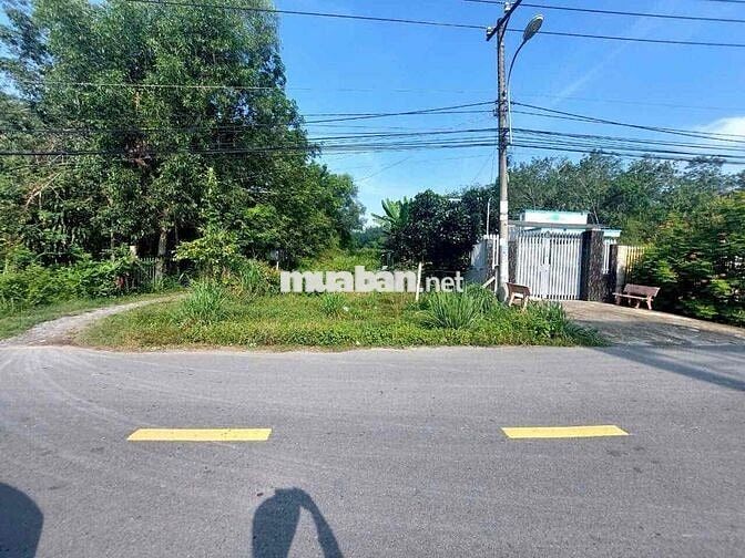 🏡 BÁN ĐẤT MẶT TIỀN ĐƯỜNG – VỊ TRÍ ĐẸP – TIỀM NĂNG SINH LỜI